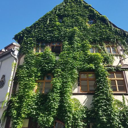 Ferienwohnung Am Erfurter Dom エクステリア 写真